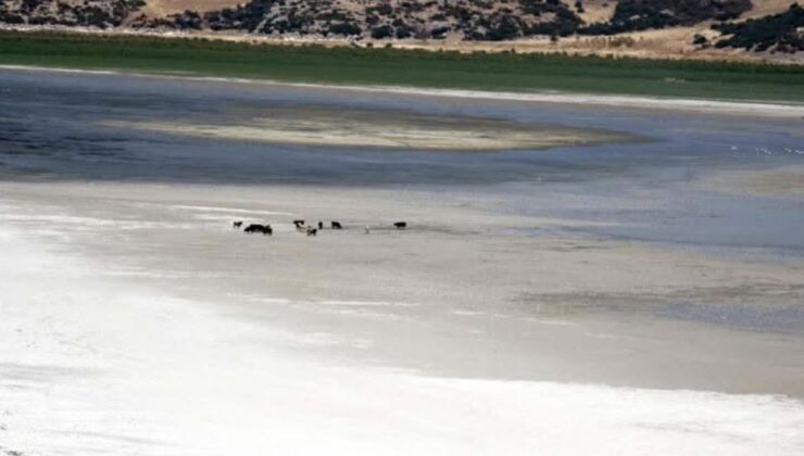Isparta Eğirdir gölü doğanın insafına kaldı – Birlik Haber Ajansı