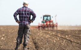 Kuraklık Türkiye tarımını derinden etkiledi – Birlik Haber Ajansı