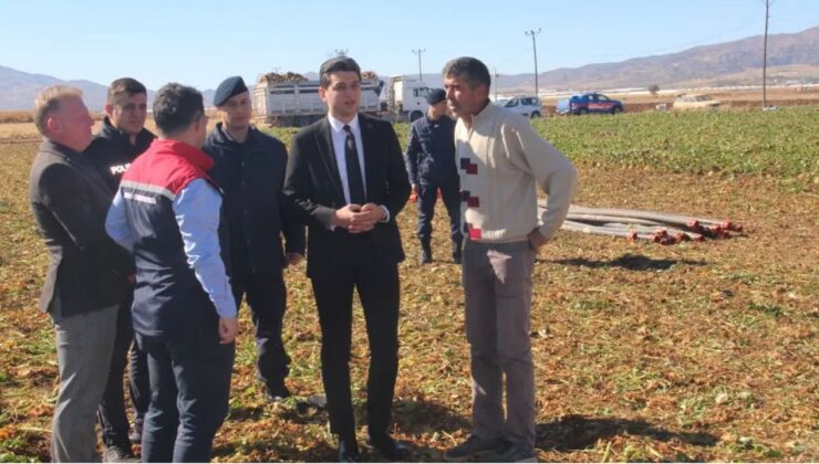 Burdur Tefenni ovası’nda pancar hasadı bereketi – Birlik Haber Ajansı