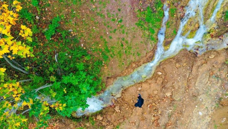 Sındırgı’da deprem mucizesi: 20 yıldır kuruyan su kaynağı yeniden hayat buldu – Birlik Haber Ajansı