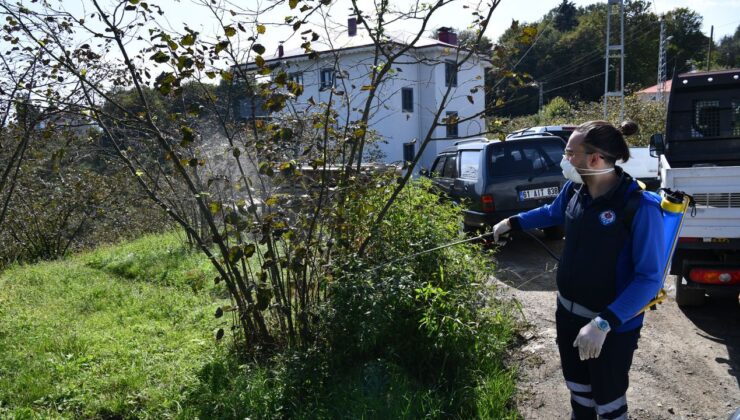 Trabzon’da kahverengi kokarca böceğiyle mücadele kapsamında 9 ilçede ilaçlama çalışmalarını sürdürüyor – Birlik Haber Ajansı
